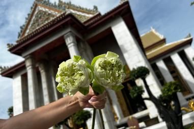 Een bijzondere reis met ons hele wellnessteam - we vieren ons 20 jaar jubileum in Thailand, sinds de start in 2005 de absolute Nr. 1 bestemming voor ontspanning, balans en gezondheid. 
