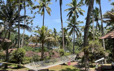 Image for Nikki's Nest, India