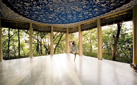 Image for Ananda in the Himalayas. India