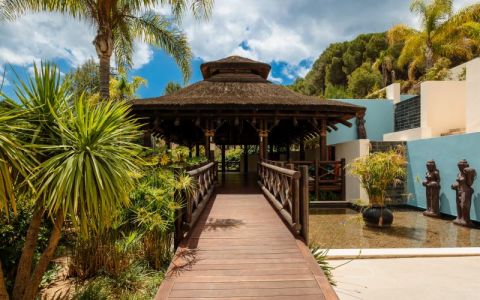 Image for Vroege Ochtend Yoga