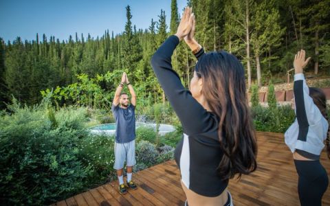 Image for Een helende reset