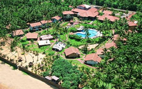 Image for Eerste consult met de Ayurveda dokter