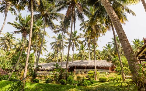 Image for Luxe ayurveda reizen