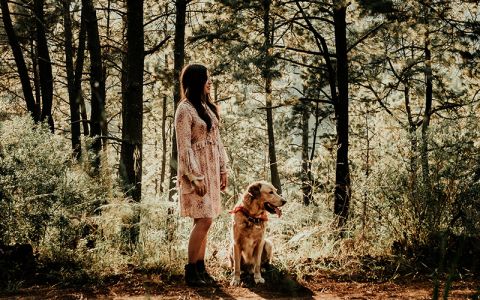 Image for Boshotel Vlodrop, Limburg