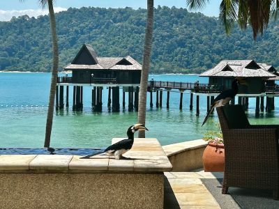 Image for Dit sprong eruit..