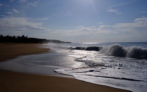 Image for Schildpaddenstrand