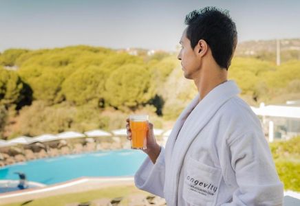 Image for Professionele begeleiding