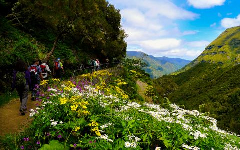 Image for Hotel Alpino Atlantico Ayurveda, Madeira