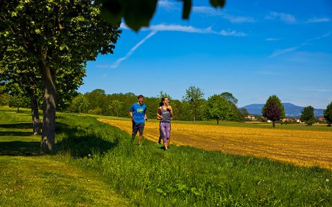 Image for Ayurveda Resort Mandira, Oostenrijk