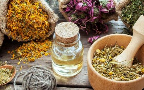 Image for 7. Kruidengeneeskunde