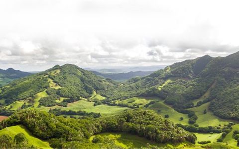 Image for 1. Het oerbos van Vallée de Ferney