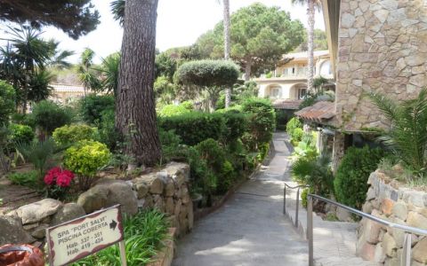 Image for Voertaal Engels