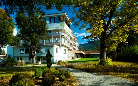 Image for Bergen en bloemenweides