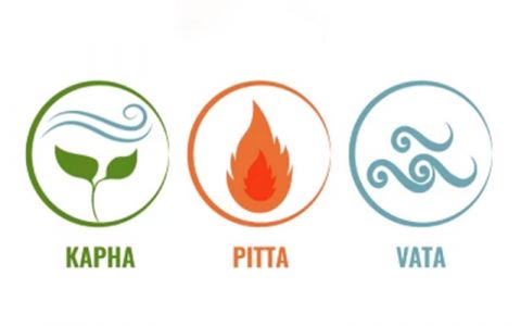 Image for 3. Wat zijn dosha’s?