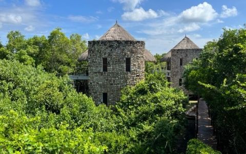 Image for Dansen met een monnik