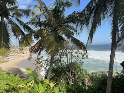 Image for Provincie Kerala, de bakermat van Ayurveda