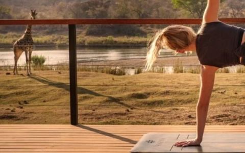 Image for Sashwa River of Stars, Zuid-Afrika