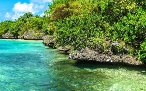 Image for 2. Onbewoond eiland: Île aux Aigrettes