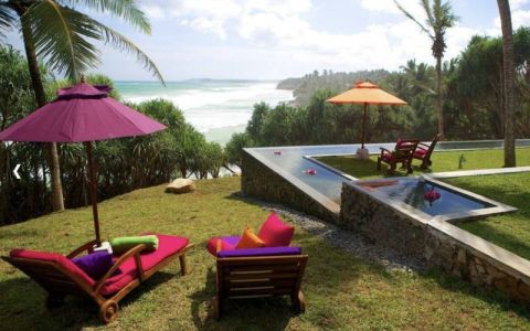 Image for Underneath The Mango Tree, Sri Lanka