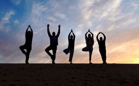 Image for Nieuwe vrienden