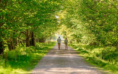 Image for 4. Retreats in verbinding met de natuur