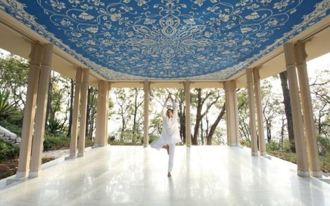 Image for Ananda in the Himalayas, India