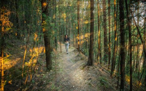 Image for Welk programma heb je gevolgd?