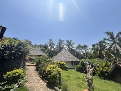 Image for Nikki's Nest