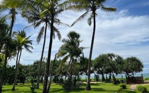 Image for Liefdevolle behandelingen