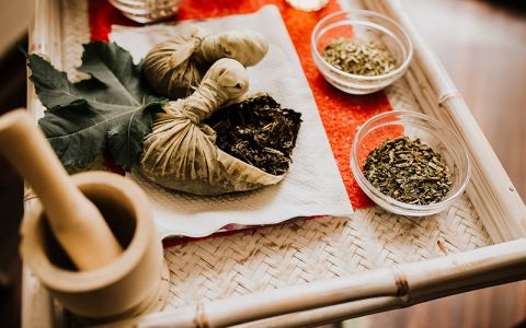 Image for Panchakarma retreats