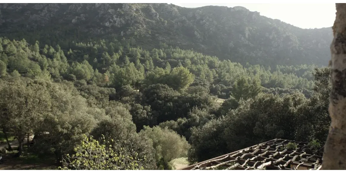 omgeving Es Racó d'Artà - Mallorca