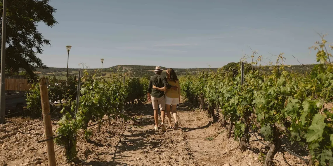Castilla Termal Monasterio de Valbuena | Wijngaard