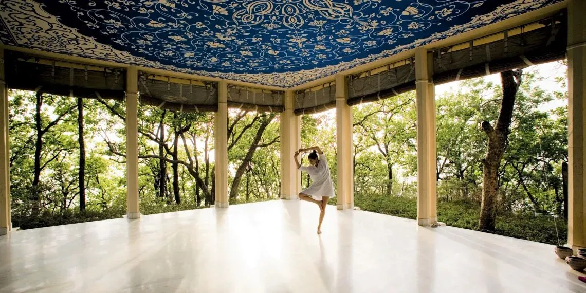 Ananda in the Himalayas