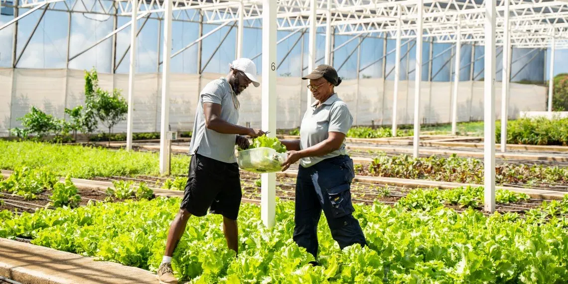 'NEW! Golden Rock Resort'