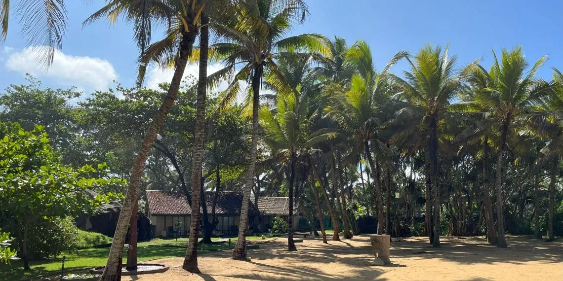 Siddhalepa Ayurveda Health Resort