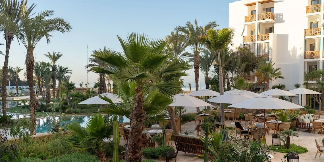 buiten terras met palmbomen en loungers