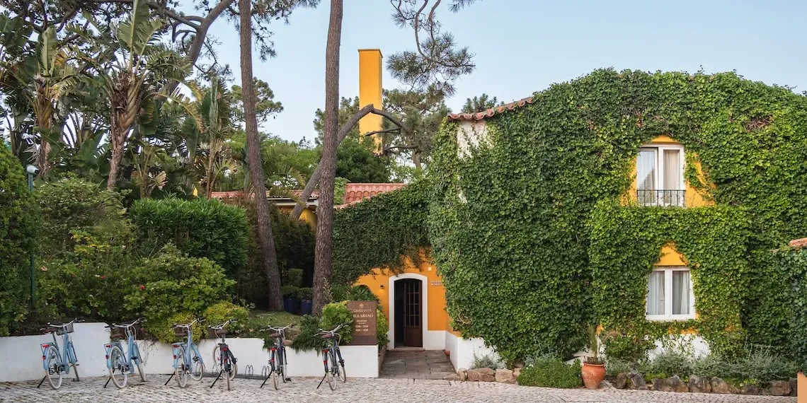 Hotel | Longevity Senses