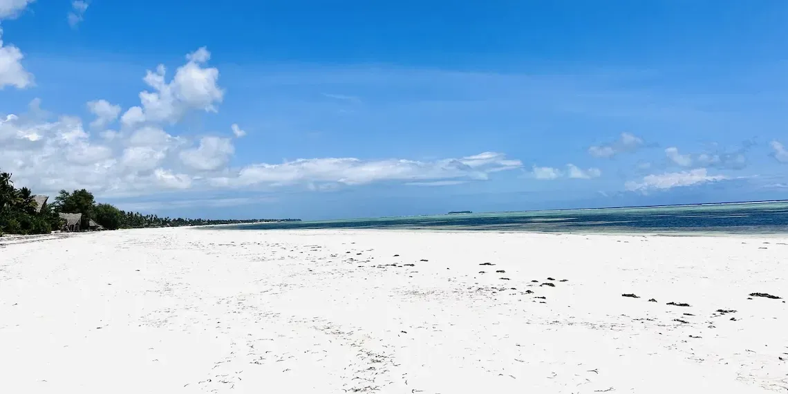 Palumbo Mnemba View - Strand