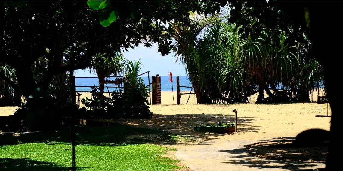 Siddhalepa Ayurveda Health Resort