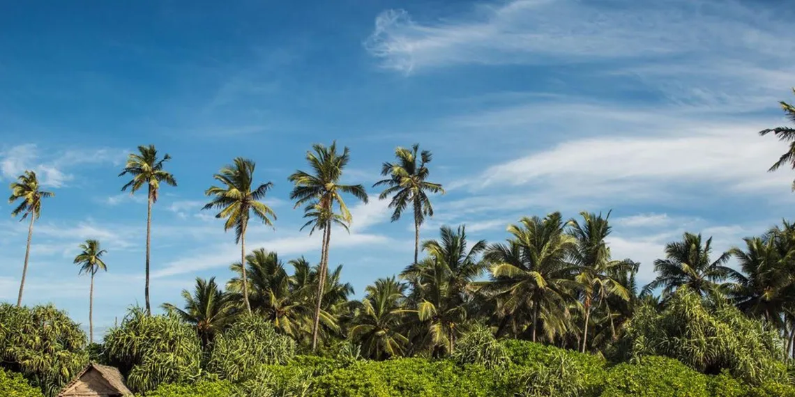 Sen Wellness Sanctuary