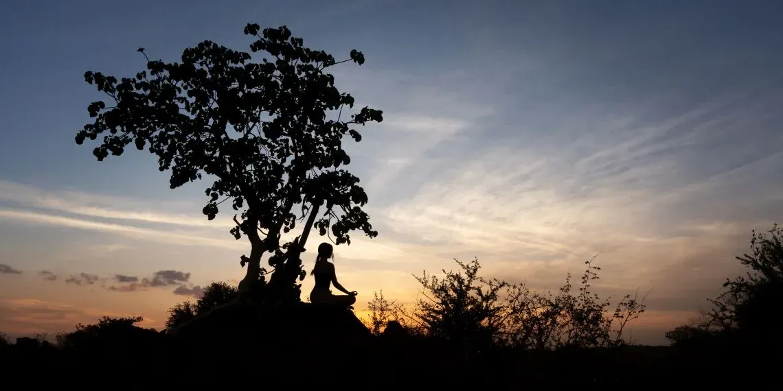 vrouw doet zonsondergang meditatie bij een boom