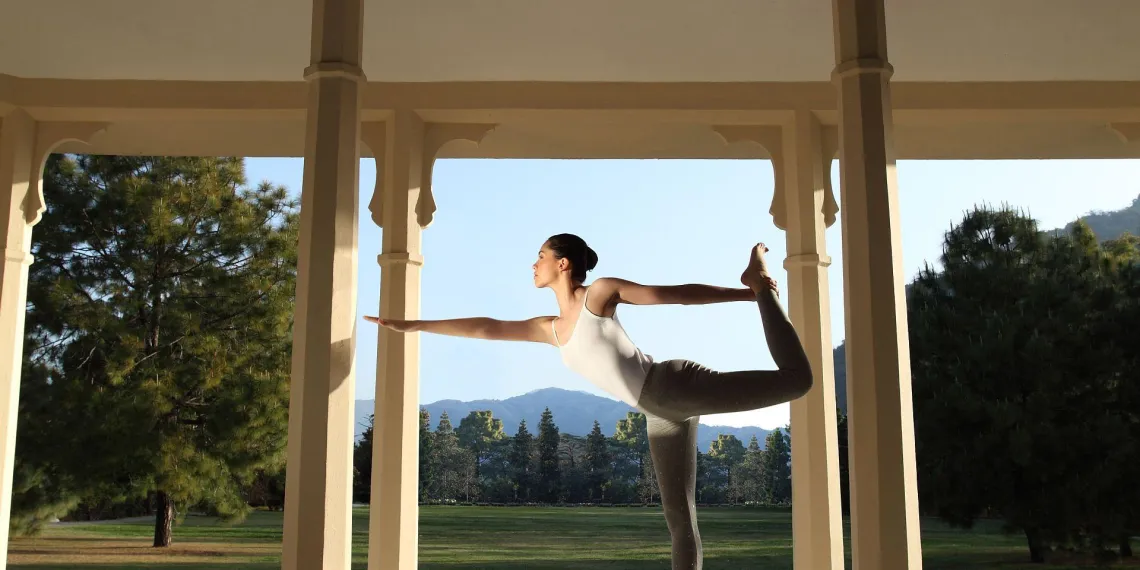 Ananda in the Himalayas