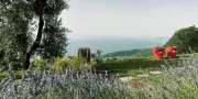 tuin Lefay Resort & SPA Lago di Garda