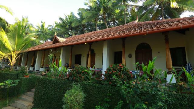 Standard Room Nikki's Nest