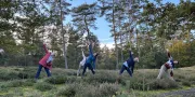 Puurenkuur Retreats | Yoga & Wellness in de natuur